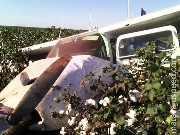Avião com marcas de tiro e sangue cai em plantação no MT Avião com marcas de tiro e sangue cai em plantação no MT