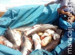 Pescador é pego com 300 quilos de peixes sem guia e é multado em R$ 6,7 mil