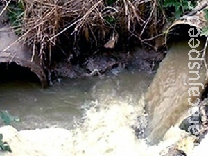 Aprovado financiamento para recuperação de nascentes de rios
