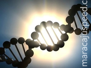 Células-tronco conseguem tratar doenças mitocondriais Células-tronco conseguem tratar doenças mitocondriais