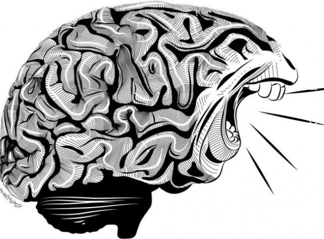 Cientistas descobrem como gritos geram sensação de medo e estado de alerta