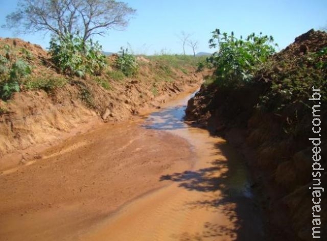 Pecuarista é multado em R$ 20 mil por degradar matas ciliares ao desviar córrego 