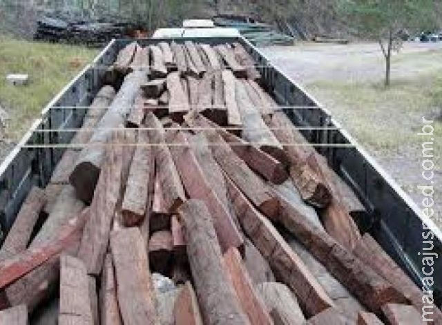 Caminhoneiro é multado em R$ 5,7 mil por carga ilegal de madeira