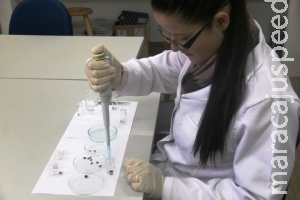 Moscas podem ser utilizadas como testemunhas de crimes, revela pesquisa Moscas podem ser utilizadas como testemunhas de crimes, revela pesquisa
