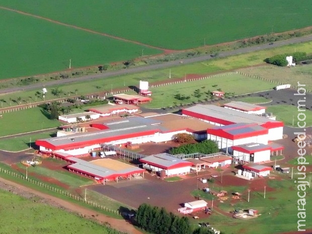 Cooperativa investe R$ 121 mi para implantar "presuntaria" em MS Cooperativa investe R$ 121 mi para implantar "presuntaria" em MS