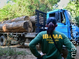 Ibama aplica R$ 1,2 bilhão em multas por desmatamento