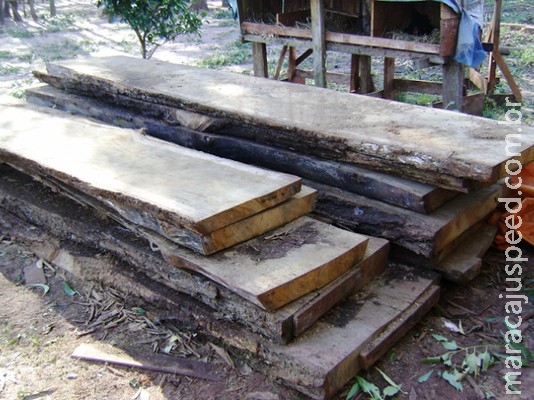 Assentado é multado por exploração e armazenamento ilegal de madeira