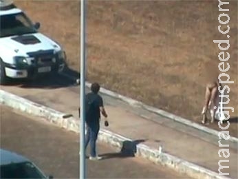 PMs param viatura para ver jovem fazendo ensaio só de calcinha no DF; Assista