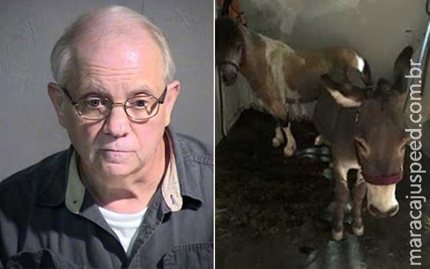 Homem é preso ao viajar para o Arizona para fazer sexo com cavalo Homem é preso ao viajar para o Arizona para fazer sexo com cavalo