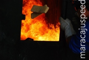 Polícia Civil incinera mais de duas toneladas de drogas