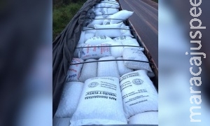 Receita apreende 17 toneladas de produtos alimentícios contrabandeados