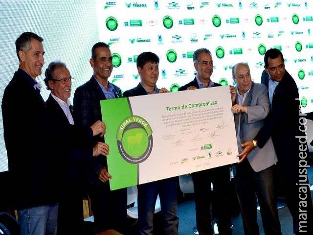 Pacto Sinal Verde quer padronizar 50% dos bovinos abatidos até agosto de 2016 em MS Pacto Sinal Verde quer padronizar 50% dos bovinos abatidos até agosto de 2016 em MS
