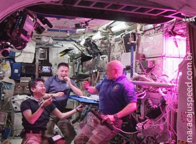 Pela primeira vez, astronautas comem alface cultivada no espaço Pela primeira vez, astronautas comem alface cultivada no espaço