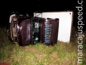 Caminhão tomba na BR-267 em 2º acidente com vacas em três dias