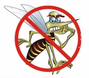 Mulher de Dourados é a 11ª vítima da dengue no Estado