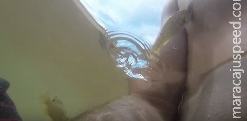 Peixe salta da água e abocanha mamilo de homem Peixe salta da água e abocanha mamilo de homem