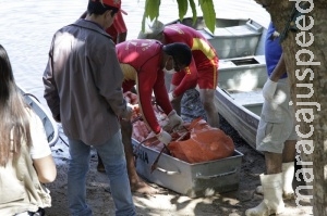 Corpo de servente de pedreiro é encontrado boiando no rio Taquari