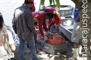 Corpo de servente de pedreiro é encontrado boiando no rio Taquari Corpo de servente de pedreiro é encontrado boiando no rio Taquari