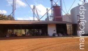 Empresa de armazéns e secadora de grãos é multada em R$ 15 mil por poluição Empresa de armazéns e secadora de grãos é multada em R$ 15 mil por poluição