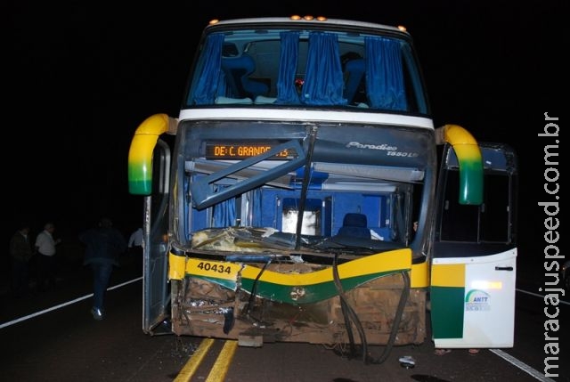 Ônibus com 29 passageiros colide com vacas na BR-267