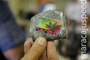 Julgamento no STF pode levar Brasil a descriminalizar porte de drogas