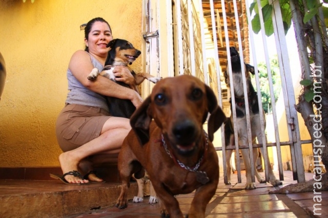 UPA é esperança de donos para socorrer e gastar menos com animais