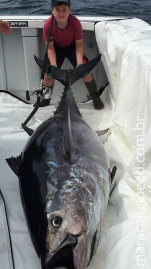 Menino canadense de 10 anos pesca atum de 220 kg Menino canadense de 10 anos pesca atum de 220 kg