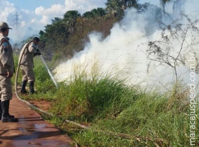 Número de queimadas em Mato Grosso do Sul dobra nos primeiros meses de 2015