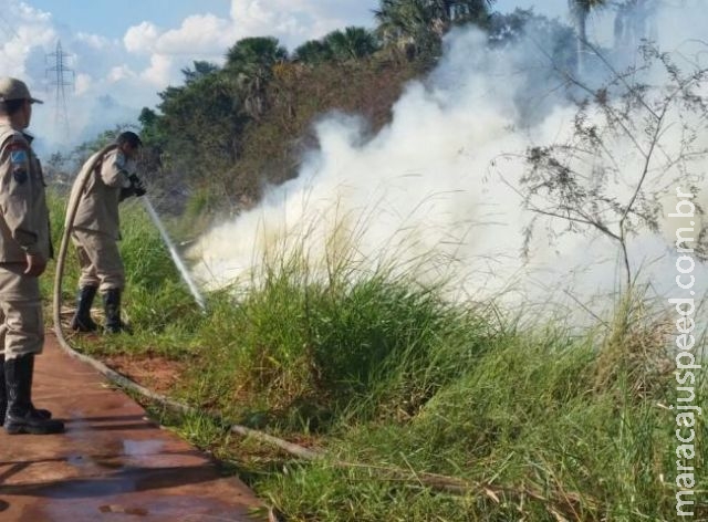 Número de queimadas em Mato Grosso do Sul dobra nos primeiros meses de 2015 Número de queimadas em Mato Grosso do Sul dobra nos primeiros meses de 2015