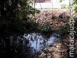 Comerciante é autuado por destruição de nascentes em área urbana Comerciante é autuado por destruição de nascentes em área urbana
