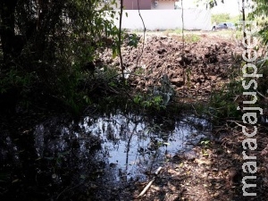 Comerciante é autuado por destruição de nascentes em área urbana