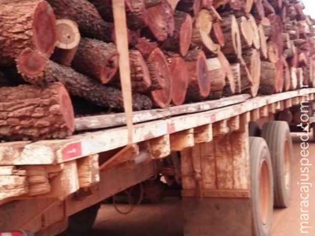 Empresa é multada em R$ 11 mil por carga de madeira ilegal em MS