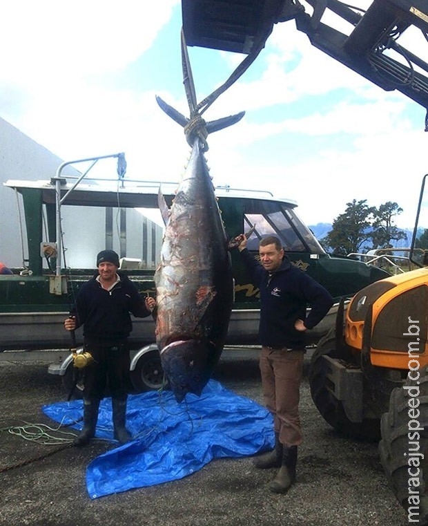 Trio se surpreende ao fisgar peixe de 330 kg na costa da Nova Zelândia Trio se surpreende ao fisgar peixe de 330 kg na costa da Nova Zelândia