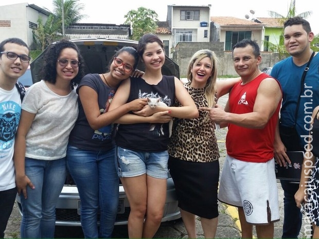 Gato é resgatado após prender a cabeça no motor de carro Gato é resgatado após prender a cabeça no motor de carro