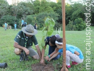 Sanesul incentiva plantio de mudas nativas do cerrado