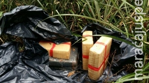 Policiais ambientais encontraram 179,3 quilos de maconha abandonada em mata
