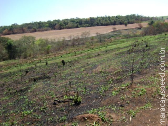 PMA autua usina sulcroenergética em R$ 1,71 milhão por incêndio em áreas protegidas por lei PMA autua usina sulcroenergética em R$ 1,71 milhão por incêndio em áreas protegidas por lei