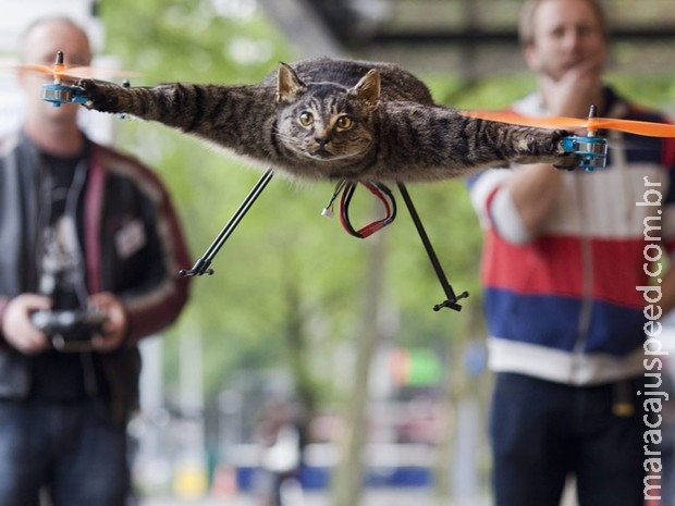 Após criar quadricóptero com gato e avestruz, artista planeja "vaca voadora"