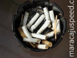 Saiba quais são os riscos que o fumo traz ao organismo humano Saiba quais são os riscos que o fumo traz ao organismo humano