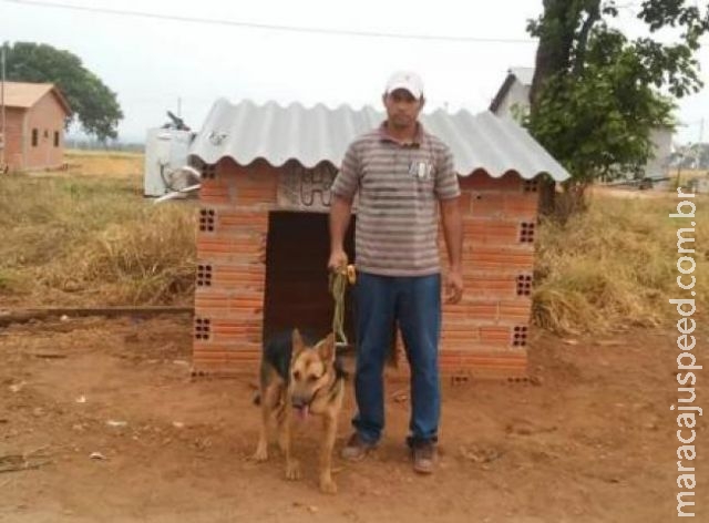 Dono instala ar-condicionado na casa da cadela no Tocantins