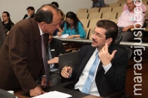 Projeto proíbe poda do pequi para preservar árvore símbolo do cerrado Projeto proíbe poda do pequi para preservar árvore símbolo do cerrado