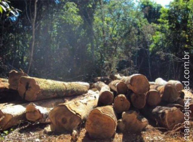 PMA investiga denúncia de crime ambiental praticado por prefeitura do interior PMA investiga denúncia de crime ambiental praticado por prefeitura do interior