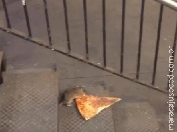Rato é filmado carregando pedaço de pizza em metrô