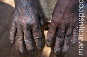 Empresa que utiliza trabalho escravo pode ficar fora de licitação pública