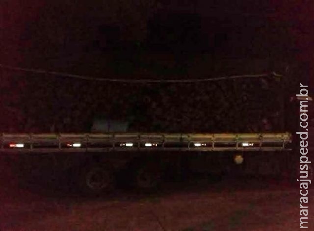 Caminhão com carga ilegal de madeira é apreendido e motorista é multado em R$ 9,3 mil