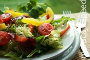 Mitos e Verdades sobre o Vegetarianismo Mitos e Verdades sobre o Vegetarianismo
