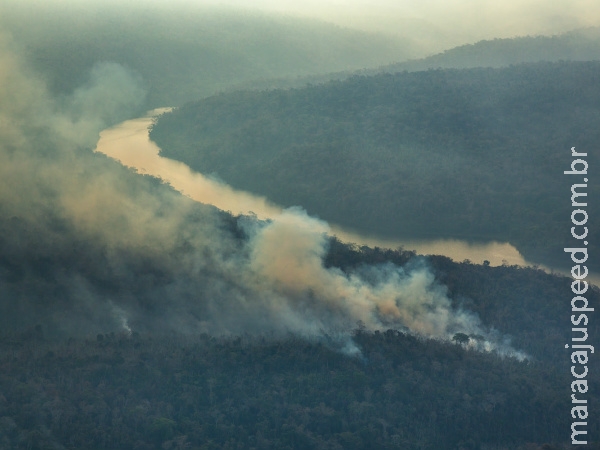 Incêndio devasta há 2 meses resquício de floresta amazônica no Maranhão Incêndio devasta há 2 meses resquício de floresta amazônica no Maranhão