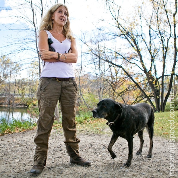 Cadela labrador salva dona de ataque de urso nos EUA