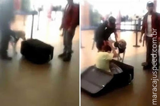 Polícia flagra homem escondido em mala em aeroporto Polícia flagra homem escondido em mala em aeroporto