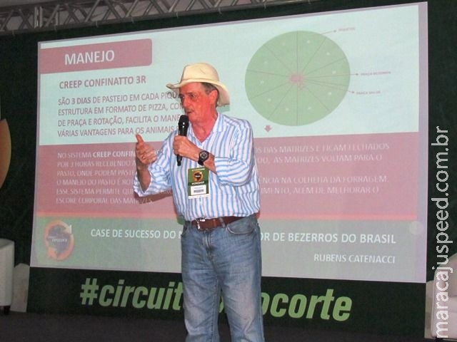 Valor do bezerro em MS ultrapassa 41% em relação a RO Valor do bezerro em MS ultrapassa 41% em relação a RO